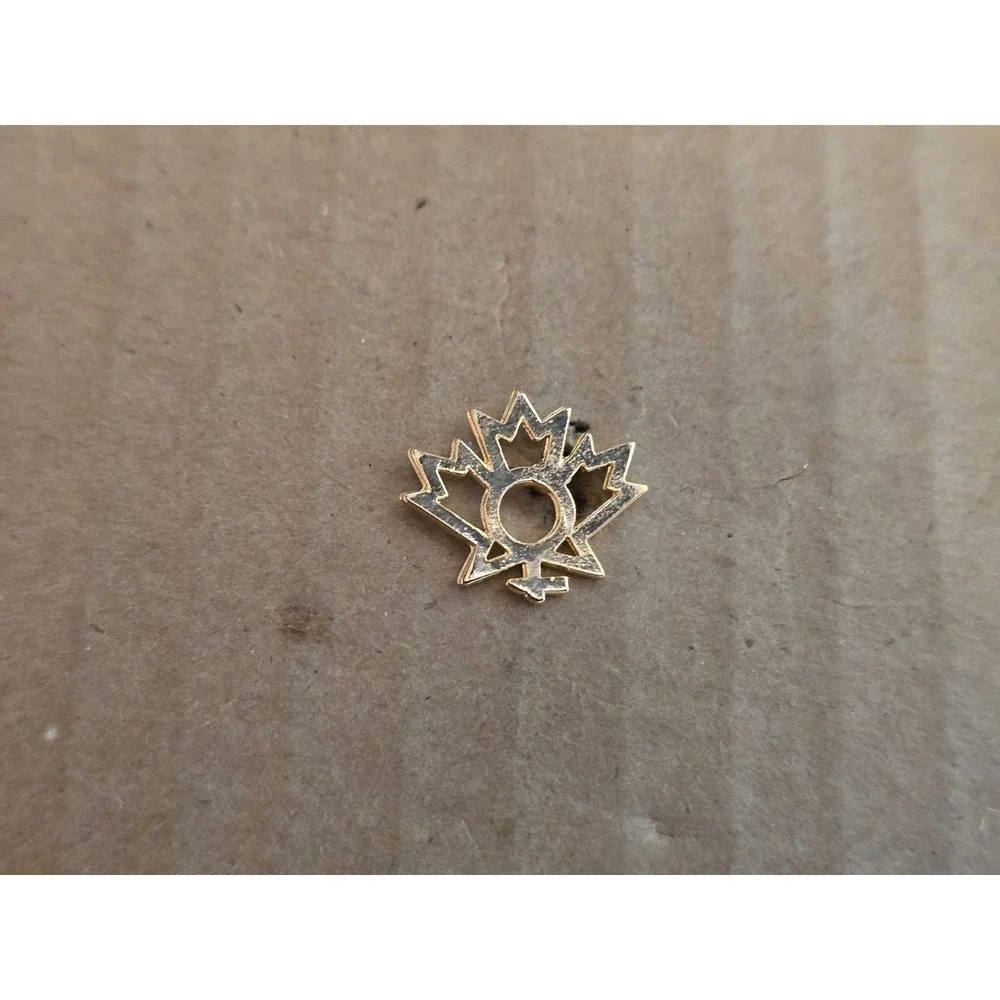 Canadian Advisory Council Status of Women Logo lapel vest hat pin E25